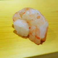鮨 あらい - （2016.11) 大きな牡丹海老