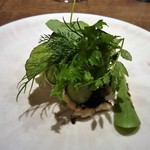 アカ - 対馬産穴子の片面炙り 香味野菜、バルサミコ酢がけ