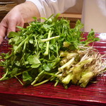 銀座 しのはら - セリ