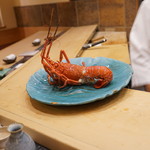 初音鮨 - 伊勢海老