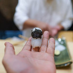 初音鮨 - 剣先いかにキャビア