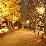 59674782 - 外苑の銀杏がいちばんキレイな時期でした*