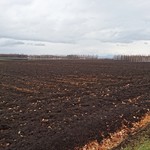 ラ モトリス - 周辺は畑です