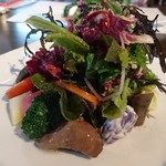 ラ モトリス - サラダ～凄いっス、凄いから角度を変えて３枚も載せちゃいます