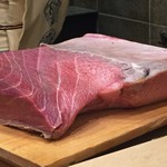 初音鮨 - 本まぐろ