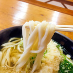 Kicchou Udon - 