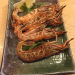 Kisshoutei Sushi Robata - 泥海老塩焼き 600