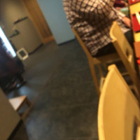山桜 - 