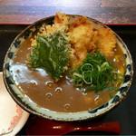 瀬戸内製麺710 - ひやあつとり玉天カレーうどん