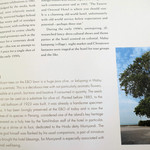 Farquhar's Bar - 魂が宿る木として写真が載っていました