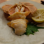 もり山 - 2016.12)団扇海老