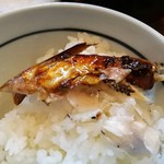 活魚料理ととや - 2016.11