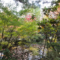 エルムガーデン - 広大な庭園。