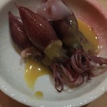 でん - ホタルイカ酢味噌('16.03)