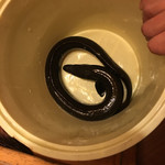 日本料理 梅林 - 