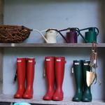 アンドシングス ハチガハナ - 