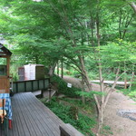 アンドシングス ハチガハナ - 