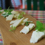 アンドシングス ハチガハナ - 