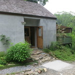 アンドシングス ハチガハナ - 