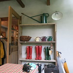 アンドシングス ハチガハナ - 