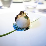 レフェルヴェソンス - 定点～
      　蕪とパセリ、キントアハム、ブリオッシュ