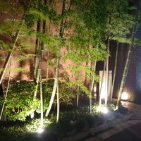 吉星 - 
