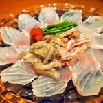 すし処 錦 - 本クエ 薄造り（和歌山）