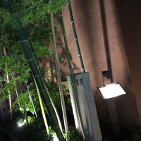 吉星 - 