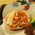 鞍馬口 寿星 - こっぺ
      
      2016.12撮影