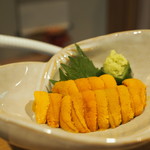 鞍馬口 寿星 - 雲丹
      
      2016.12撮影