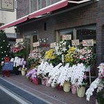 クークー - かなり有名な方からお花が来てます。