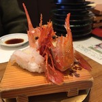 回転寿司 かね喜 - （2016.12）ぼたんエビ
