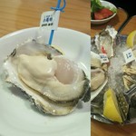 Oyster Bar ジャックポット - 