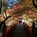 Shigetsutei - 西明寺に渡る指月橋