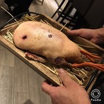 ラチュレ - 青首鴨