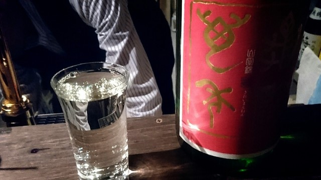 standing bar Radical photo 2