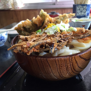 峠のうどん屋 藤屋_1