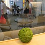 田頭茶舗 - ◇苔玉のオブジェ