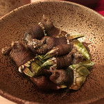 にかい笹木 - 亀の手  そういえば海の岩場で見たような‥‥。