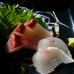 Tsuruya - 「日替わり定食」（６００円）～刺身