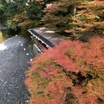 Momidi Yabekkan Kawa No Iori - 吊り橋から眺める川床