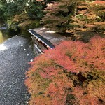 もみぢ家別館 川の庵 - 吊り橋から眺める川床