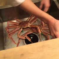 緒方 - タグは間人蟹の証拠ですね