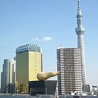 浅草むぎとろ 本店 - 眺望いいです