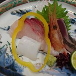 いか、はまち、甘海老、鰹