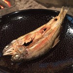 柳家 - 郡上鮎開き