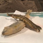 柳家 - 馬瀬川子持ち味女鰌、琵琶湖子持ち子鮎天麩羅