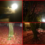 ヴィラージュ - 