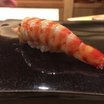 日本橋蛎殻町 すぎた - 車海老