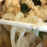 大地のうどん - 半透明のつるつる麺